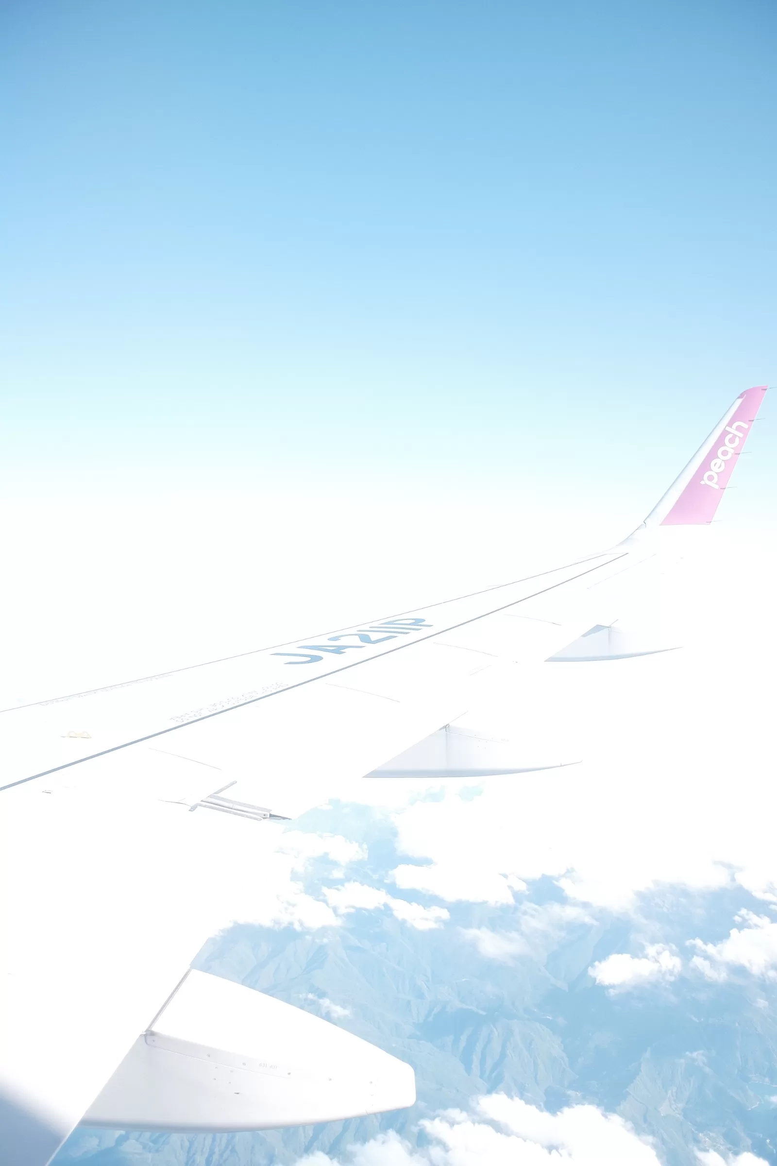 ピーチで関空へ
